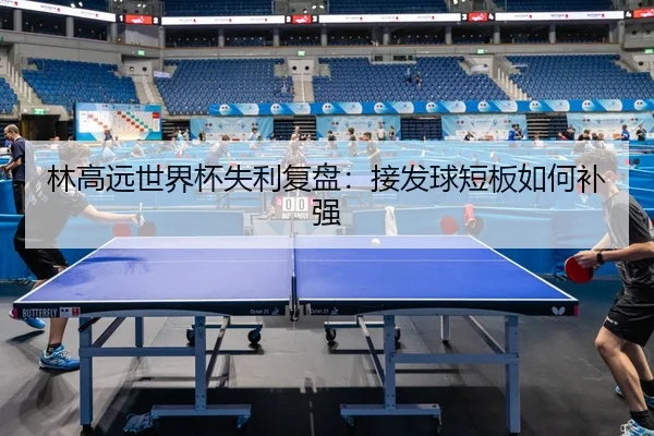 林高远世界杯失利复盘：接发球短板如何补强